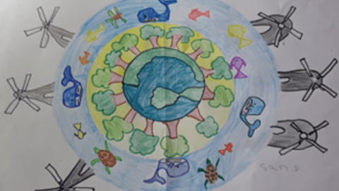 Sustainability poster competition winners